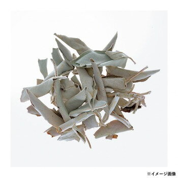 人気 おすすめ 定番 冬 新生活 ギフト 寒さ 対策 プレゼント 日本香堂 CHIE WHITE SAGE スティック30本 38922 冠婚 葬祭 | 関連単語 香典返し 法事ギフト 弔事ギフト お供え物 満中陰志 忌明けギフト 粗供養 志ギフト 四十九日お返し 法要お返し 命日お供え ssk-1-21149434 創造生活館 サンプル画像3