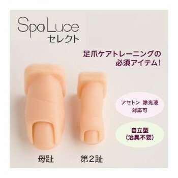 人気 おすすめ 定番 冬 お歳暮 ギフト クリスマス プレゼント SpaLuce スパルーチェセレクト トレーニ..