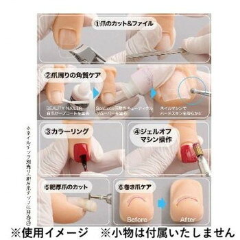 創造生活館の人気 おすすめ 定番 冬 新生活 ギフト 寒さ 対策 プレゼント SpaLuce スパルーチェセレクト トレーニング足ゆびセット（母趾+第2趾） SPS-01｜アングル2