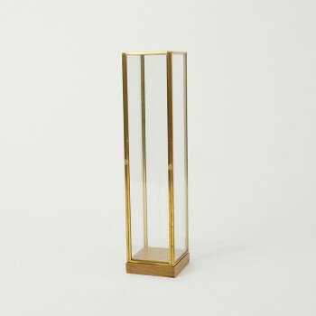 志成販売 BRASSフレーム ディスプレイBOX トール(L) 107783 インテリア | 関連単語 壁掛け 時計 ラグ ソファ 棚 シンプル 北欧 カーテン テーブル 木製 ナチュラル チェア ファブリック 一人暮らし クッション ベッド サイドテーブル フロアライト ポスター