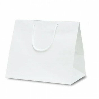 ファインバッグ(ワイド)手提袋 220ワイド 1179 10枚 鞄 かばん | 関連単語 ブランド 韓国 A4収納 小さめ 自立 出張 肩掛け ファスナー付き ...