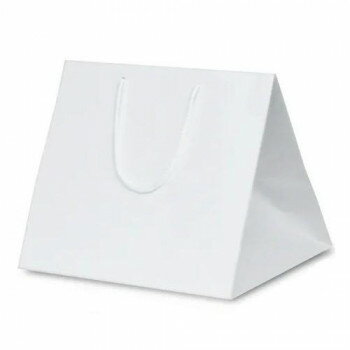 ファインバッグ(ワイド)手提袋 260ワイド 1166 10枚 鞄 かばん | 関連単語 小さめ 自立 出張 肩掛け ファスナー付き キャンバス レディース メ...