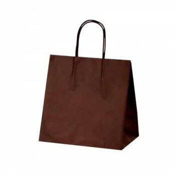 マットバッグ(MSワイド)手提袋 ブラウン 1766 10枚 鞄 かばん | 関連単語 出張 肩掛け ファスナー付き キャンバス レディース メンズ 通勤 リュ...