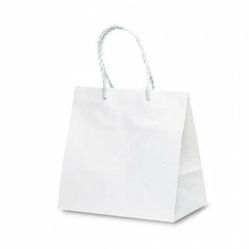 グレートバッグ手提袋 NO.5 1405 10枚 鞄 かばん | 関連単語 ショルダー 防水 ビジネス ナイロン 学生 2way 黒 旅行 マザーズバッグ 斜めがけ かわいい 高校生 ハンドバッグ ブランド 韓国 A4収納 小さめ 自立 出張 肩掛け ファスナー付き キャンバス レディース