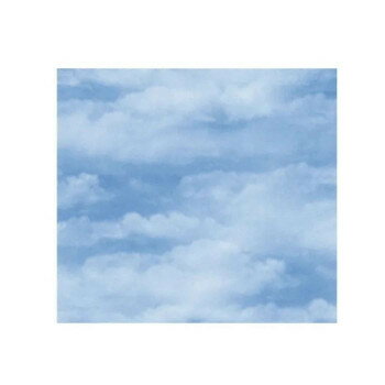  饦(֥롼) Ⱦ 133 100