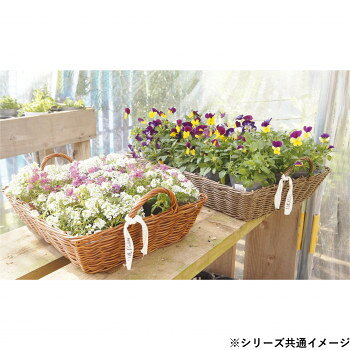 人気 おすすめ 定番 冬 新生活 ギフト 寒さ 対策 プレゼント MURATAYA P.Pラタント...