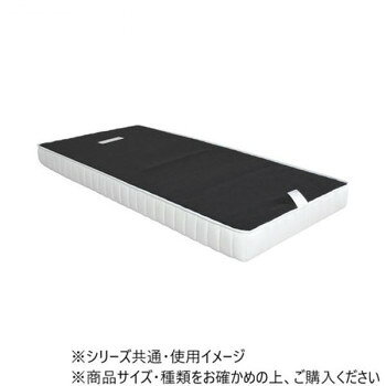 東谷 脚付きポケットコイルマットレス 圧縮ロール ホワイト BW-666 インテリア | 関連単語 テーブル チェア ラグ クッション ソファ ベッド 観葉植物 木製 ナチュラル モダン 北欧 韓国風 カーテン ファブリック ミラー 照明 サイドテーブル スツール 時計 壁掛け [3]