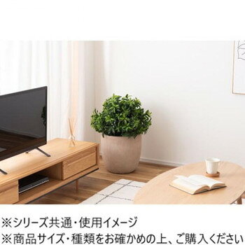 東谷 グリーンベース ベージュ GRNB-211BE 家具 収納 照明 | 関連単語 カーペット ...