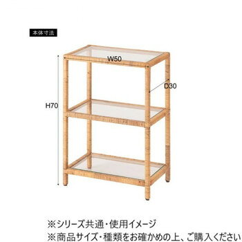 人気 おすすめ 定番 冬 新生活 ギフト 寒さ 対策 プレゼント 東谷 ガラスシェルフW GUY-258 [3]