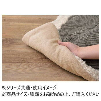 人気 おすすめ 定番 冬 新生活 ギフト 寒さ 対策 プレゼント 東谷 薄掛コタツ布団 190×190cm 正方形 グレー KK-141GY 寝具 布団 | 関連単語 冬用 夏用 オールシーズン 掛け布団 敷布団 枕 毛布 ブランケット 敷きパッド ベッドパッド 掛けカバー 敷きカバー [2]
