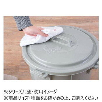 人気 おすすめ 定番 冬 新生活 ギフト 寒さ 対策 プレゼント 東谷 ダストボックス ペール45L グリーン LFS-765GR インテリア | 関連単語 絵 一人暮らし 木製 シンプル 観葉植物 ラグ ソファ 北欧 テーブル チェア 壁掛け スツール 韓国風 クッション [3]