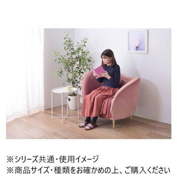 人気 おすすめ 定番 冬 新生活 ギフト 寒さ 対策 プレゼント 東谷 トレーサイドテーブル ホワイト LFS-880WH 家具 収納 照明 | 関連単語 インテリア テーブル 地球儀 マット カーペット ラグ 写真 おしゃれ アイディア 便利 寒さ 対策 玄関 コード 整理 バス [3]