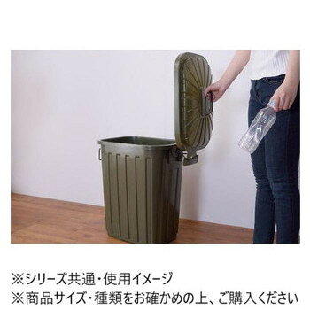 人気 おすすめ 定番 冬 新生活 ギフト 寒さ 対策 プレゼント 東谷 ダストボックス ペールカン60L グリーン LFS-937GR インテリア | 関連単語 北欧 おしゃれ 一人暮らし 絵画 韓国風 シンプル モダン ナチュラル 木製 壁掛け 観葉植物 ソファ ラグ クッション [3]