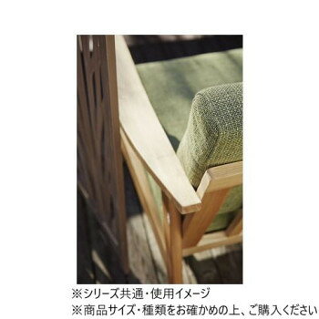 にんき 人気 おすすめ 定番 冬 春 孫 冬 新生活 ギフト 寒さ 対策 プレゼント 東谷 バッスム ソファ 1人掛 グリーン RTO-911GR ソファ チェア ボード テーブル 棚 収納 ラック スツール | 関連単語 収納家具 木目調 コンパクト設計 組立式 リビング家具 [3]