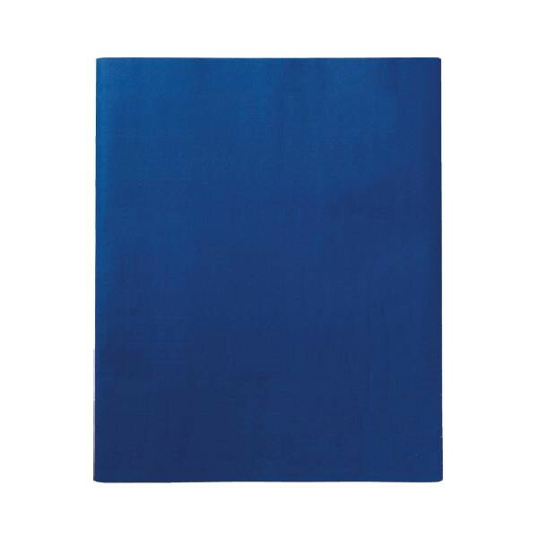 日用品 雑貨 通販 写経用紙　純雁皮　藍紙　半切　10枚 AK38-2 オススメ 送料無料