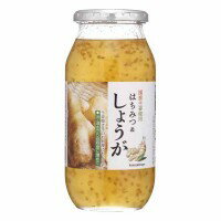 軽食品関連商品 加藤美蜂園本舗　はちみつ＆しょうが　810g×6個 おすすめ 送料無料