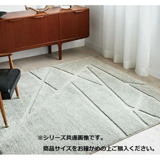 日用品 雑貨 通販 ハイドロ銀チタン(R)カーペット ハイシャン 200×200cm SI・シルバー CA616295 オススメ 送料無料