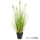 流行 生活 雑貨 人工観葉植物 ラベンダーグラス SS 約53cm 159021030