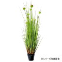 人工観葉植物 ボールグラス SS 約53cm 159013770