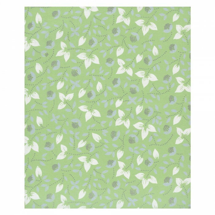 あると便利 日用品 パックタケヤマ 包装紙 ラフィーネグリーン 四六全判 100枚組 XZK00079 おすすめ 送料無料