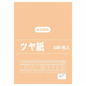 楽天創造生活館ツヤ紙 100枚入 はだ TY-12 1セットお得 な 送料無料 人気 トレンド 雑貨 おしゃれ