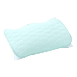 寝具 インテリア 便利 おしゃれ 洗える 除湿＆消臭＆冷感 天然素材綿100％枕パッド 2枚組 DRYC-P4060-GN おすすめ 送料無料
