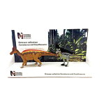POCKETBOND/ポケットボンド 英国自然史博物館 カルノタウルス＆コリトサウルス(14cm＆21cm) 29210