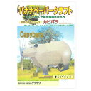 プレゼント オススメ 父 母 日用品 バナナペーパークラフト カピバラ A4(297×210mm) 1枚 P0027 5セット 送料無料 お返し 贈答品