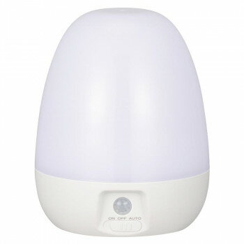 LEDナイトライト 明暗+人感 屋内用 80lm 電池式 NIT-BLA6JE-WN お得 な全国一律 送料無料 日用品 便利 ユニーク