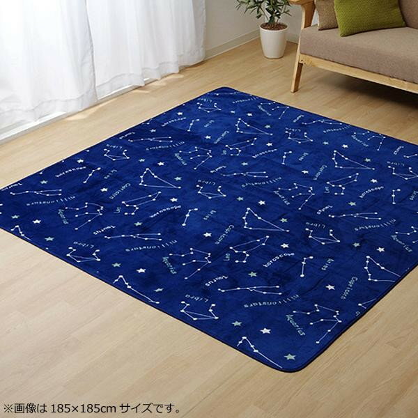 ラグ カーペット ホットカーペットカバー 『WSミリオン　RUG』ネイビー 約200×300cm 9809985