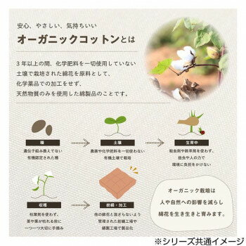 クッション関連 日本製 洗える オーガニックコットン ボックスクッション 約40×40cm ベージュ 9169359 おすすめ 送料無料 おしゃれ [3]