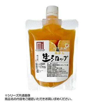 かき氷生シロップ みかん 250g 3パックセット 人気 商品 送料無料