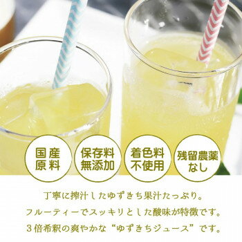 飲料関連 丁寧に搾汁したゆずきち果汁たっぷり 2