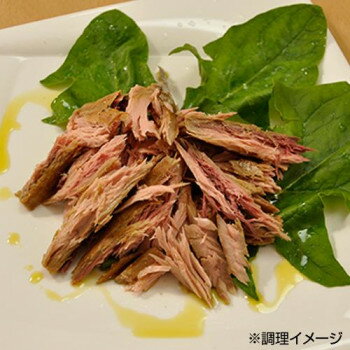 水産物関連 吉永鰹節店 オリーブオイル漬かつお 10個セット オススメ 送料無料