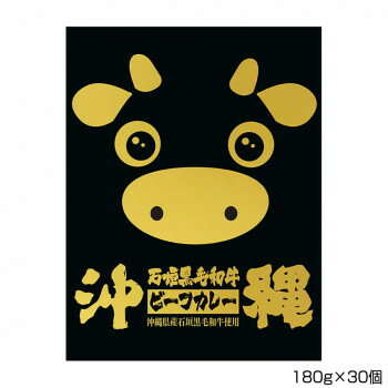 沖縄北谷自然海塩 沖縄石垣黒毛和牛ビーフカレー 180g×30個 B6 沖縄北谷自然海塩 沖縄石垣黒毛和牛ビーフカレー 180g×30個 B6