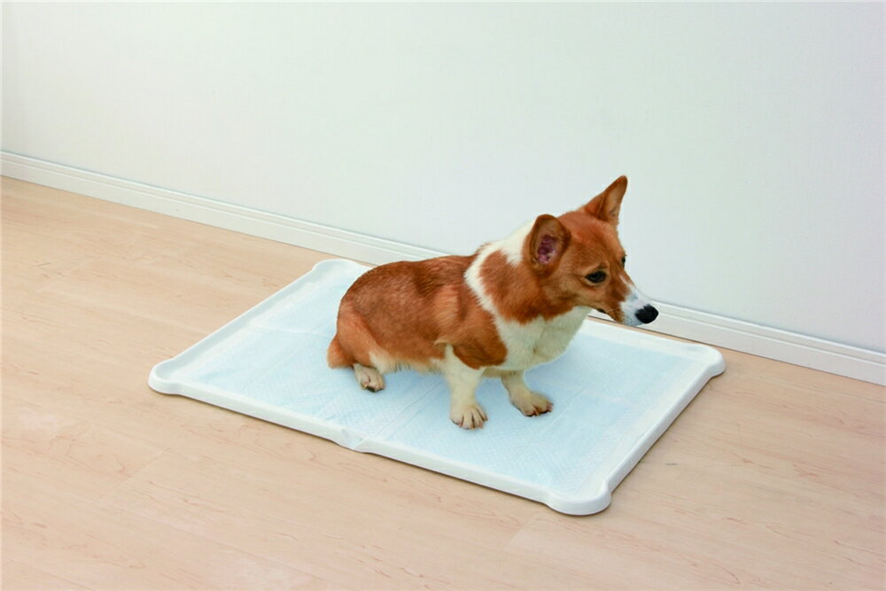 Toilet tray Dog toilet 水洗い可能 シーツぴたっとトレー ダブルワイド カラー：ブラウン