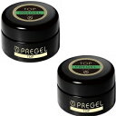 PREGEL プリジェル トップa (15g) PG-TA-15 2個セットプリジェル トップ a 15 g PG-TA-15 2個セット