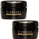 PREGEL プリジェル トップシャイン 15g PG-TS-15 2個セット