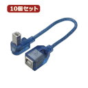 パソコン関連 変換名人 10個セット USB BtypeL型ケーブル延長20(上L) USBB-CA20ULX10 おすすめ 送料無料(2)