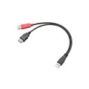 便利グッズ アイデア商品 Y字Wパワーケーブル/USB2.0/Aメス/簡易パッケージ USB-AAE5DPBK 人気 お得な送料無料 おすすめ(2)