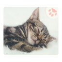 マウスがスムーズ、SmooZoo。 ●動物のかわいい写真を印刷した動物マウスパッドです。 ●表面のドット加工により、ブルーLEDなどの光学式マウスでもレーザー式マウスでもスムーズで正確なマウス操作が可能です。 ● …(2)