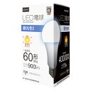 照明器具 関連 【10個セット】 HIDISC LED電球(一般電球60形相当) 昼光色 HDLED60W6500KX10 おすすめ 送料無料 おしゃれ