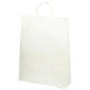 雑貨品 関連 手提げバッグ(特大)白無地(50枚入) 22359204 オススメ 送料無料