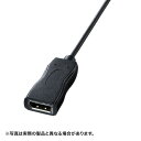 パソコン パーツ 部品 LAN スタンド 情報 マウス スマートフォン OA機器 周辺 スマホ デジタル関連 | サンワサプライ USBTypeC-DisplayPort変換アダプタ AD-ALCDP01(2)