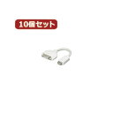変換名人 10個セット mini DVI→VGA MDVI-VGAX10 | DVI 関連単語 インターフェース ディスプレイ パソコン DVD アナログ デジ...