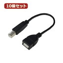 変換名人 10個セット USBケーブル20 A(メス) to B(オス) USBAB/BA20X10 | PC 周辺機器 関連:usbメモリ タイプ 容量 ハブ コンセント ケーブル 充電器 変換 type アダプタ 充電 メモリー 延長(2)