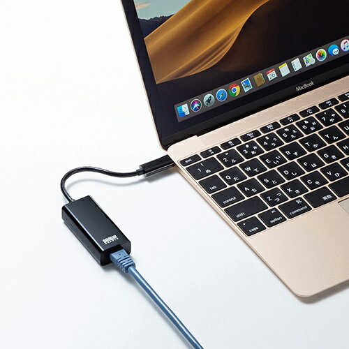 サンワサプライ USB3.2 TypeC-LAN変換アダプタ(ブラック) USB-CVLAN2BKN | PC 周辺機器 関連：usbメモリ タイプ 容量 ハブ コンセント ケーブル 充電器 変換 type アダプタ 充電 メモリー 延長