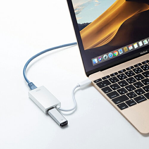 サンワサプライ USB3.2 TypeC-LAN変換アダプタ(USBハブポート付・ホワイト) USB-CVLAN4WN | パソコン 機器 関連：type ハブ usbメモリ アダプタ 充電 ケーブル コンセント 変換 延長 充電器 タイプ 容量 メモリー