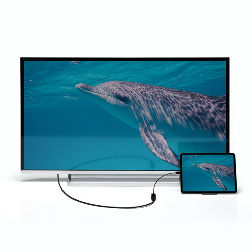 サンワサプライ USB Type C-HDMI変換アダプタ(4K/60Hz/HDR対応) AD-ALCHDR02 | パソコン 機器 関連:type ハブ usbメモリ アダプタ 充電 ケーブル コンセント 変換 延長 充電器 タイプ 容量 メモリー