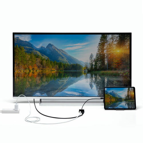 パット WEB LAN ルーター パソコン スマートフォン スマホ OA機器 デジタル 情報 周辺 デジタル関連 | サンワサプライ USB Type C-HDMI変換アダプタ 4K 60Hz PD対応 AD-ALCPHDPD